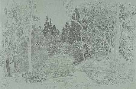 <p>Giardini di Hanbury, ( It ) Australische tuin/ garden , potlood op getint Ingres papier, 32-49 cm&nbsp;</p>